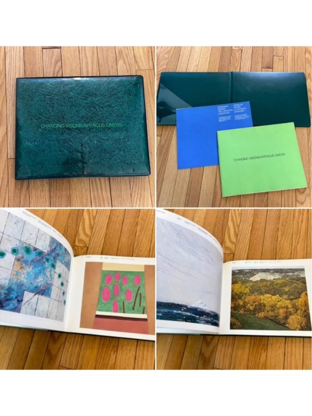 1976 AGO Changing Visions Canadian Landscape Exhibition Catalog (Soft cover)